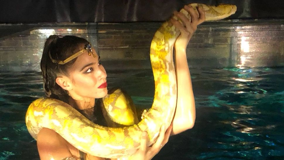 Celebrul cabaret Moulin Rouge, somat de Primăria din Paris să nu mai folosească șerpi în spectacole - Motivul este uluitor