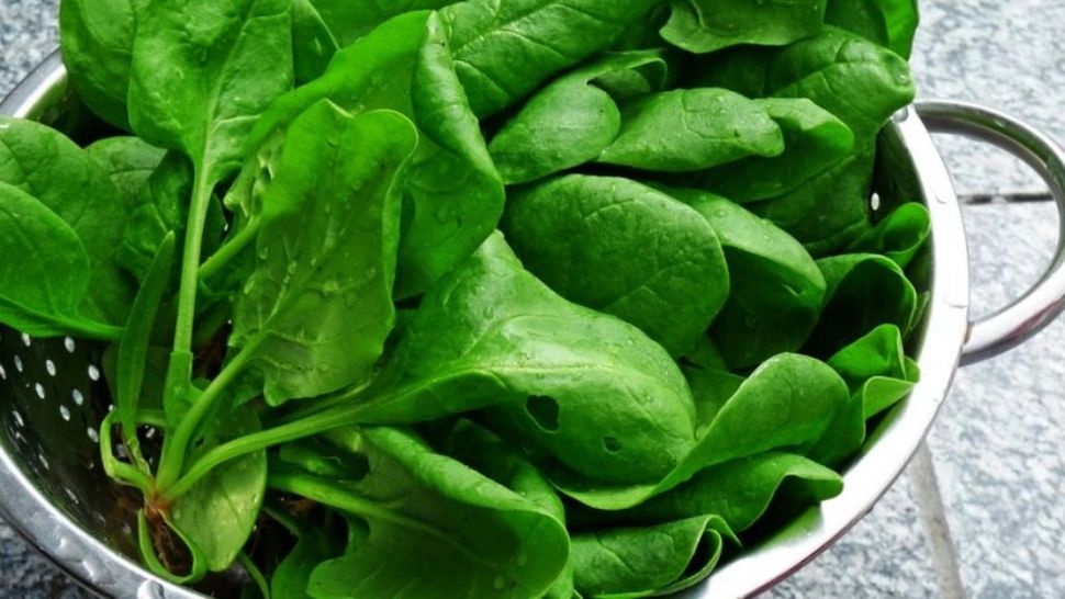 Spanacul și urzicile: BENEFICIILE superalimentelor la îndemâna tuturor