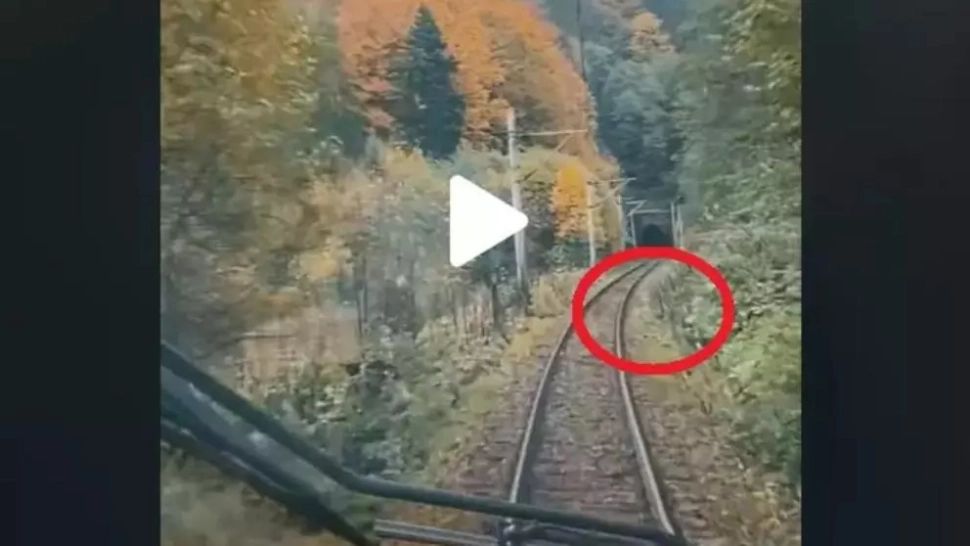 VIDEO – Ce a putut să filmeze mecanicul unei locomotive pe Valea Prahovei