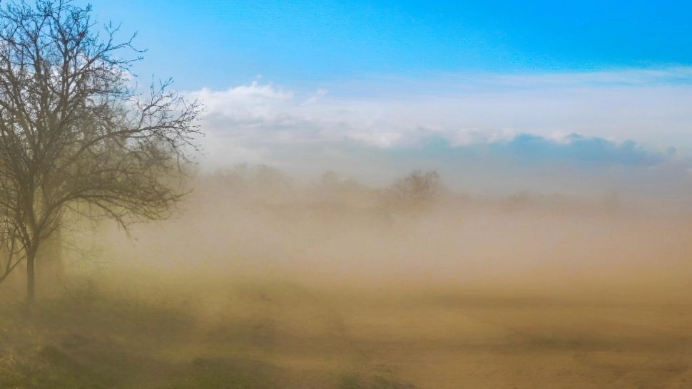 Rafale de vânt RECORD în Ungaria, cu 117 km/h, aproape de viteza unui uragan! Alertă meteo în România