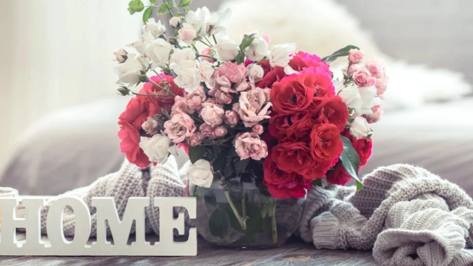 Floarea de apartament care atrage ceartă și ghinion în casă. Dacă o ai, scapă de ea imediat!