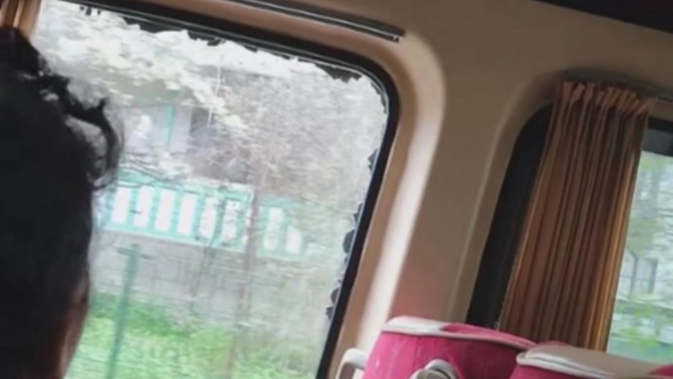 Geamul unui microbuz plin cu turiști, spart în mers, în salina Slănic Prahova! Momente de PANICĂ, în a doua zi de Paște - VIDEO