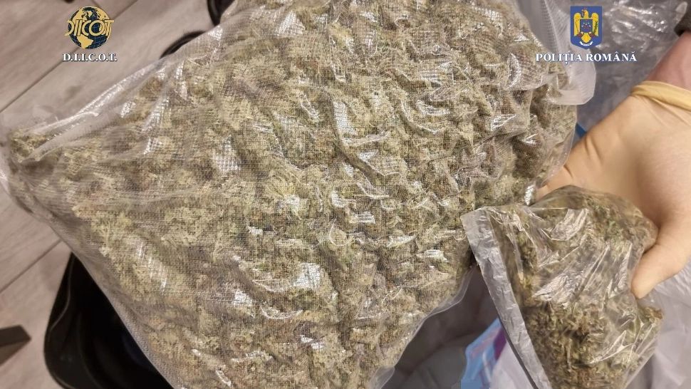 Cea mai mare piață online de distribuție droguri, unică în Europa, destructurată în România - Clienții erau 11.000 de elevi și studenți