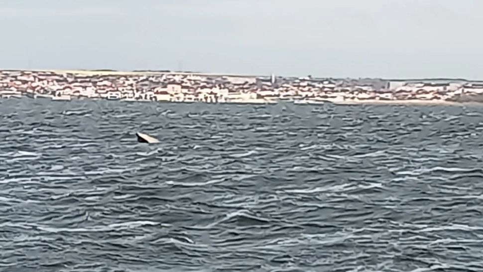 Alarmă falsă pe lacul Siutghiol! Barca pescărească care a alertat un număr impresionat de forțe de intervenție era, de fapt, o EPAVĂ  - VIDEO