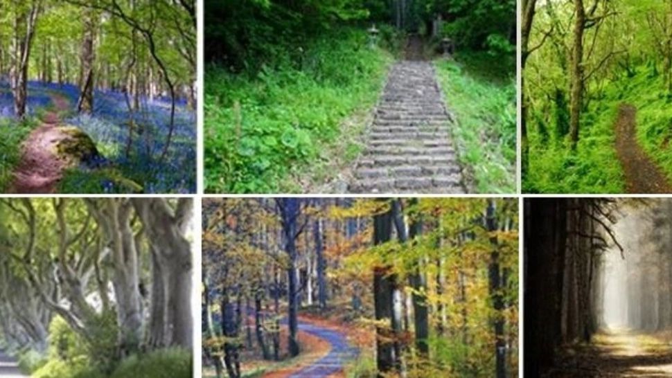 Alegerea care îți arată drumul în viață. Ce fotografie te atrage?