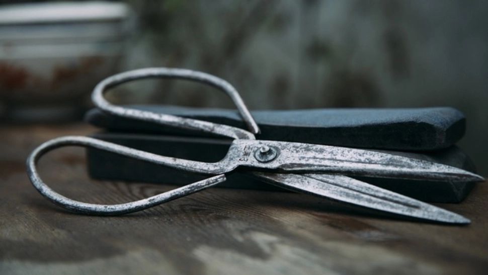 Scene de groază în centrul Timișoarei. Un bărbat a fost înjunghiat în cap, cu o foarfecă