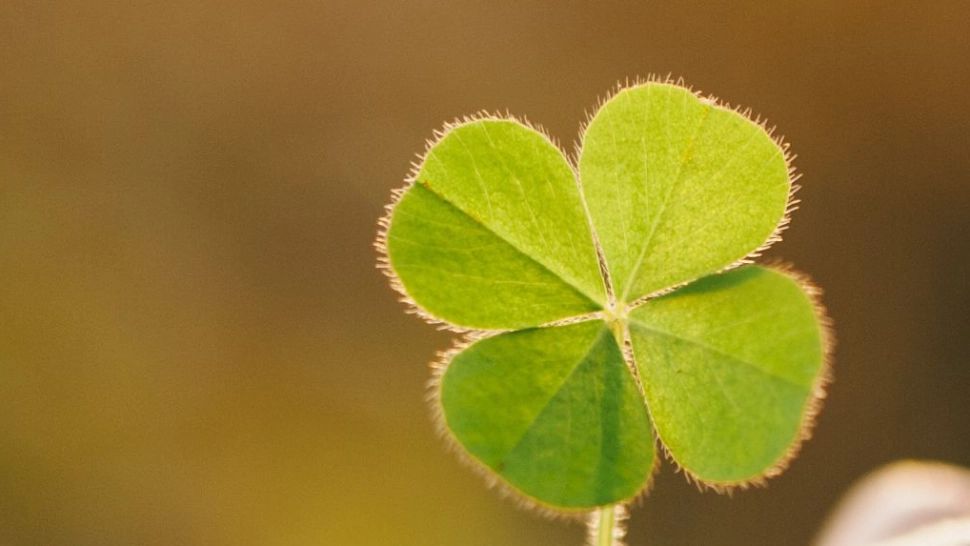 4 zodii care au NOROC în viață - Secretele astrologilor pentru adevăratele împliniri de care să ai parte