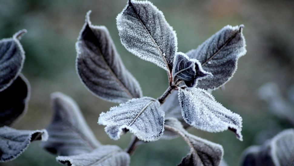 Temperatură în pragul înghețului înregistrată în această dimineață, în România 