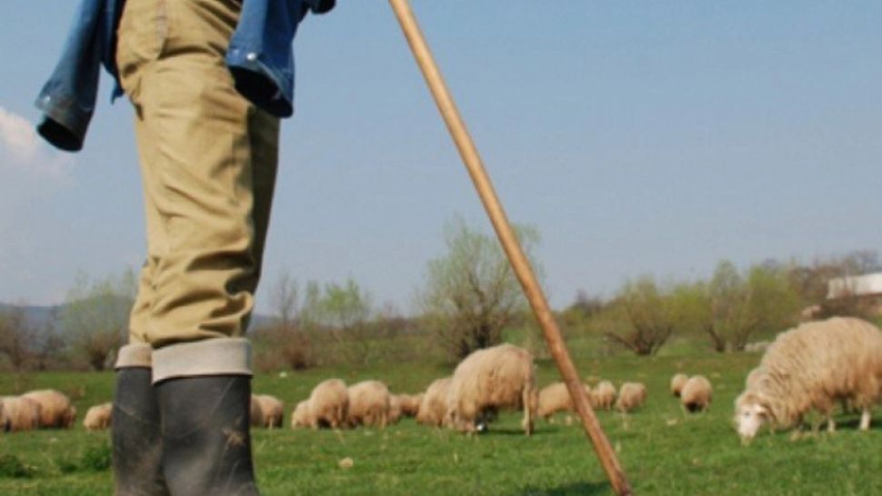 Bărbat mort, după ce a fost lovit din greșeală cu cuțitul, în timp ce sacrifica un miel