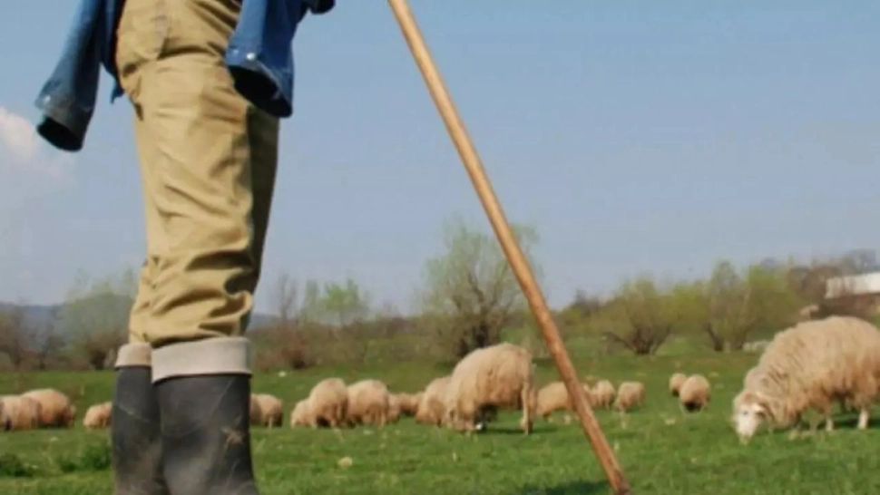 Răsturnare de situație în cazul ciobanului înjunghiat din greșeală când tăia mielul! Polițiștii au descoperit ce s-a întâmplat de fapt