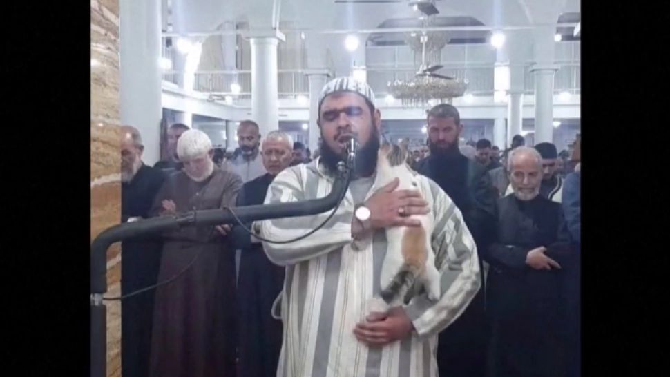 Imagini de tot râsul! O pisică se cațără pe un imam în timpul slujbei. VIDEO devenit viral