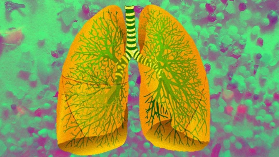 10 obiceiuri care te pot ajuta să îți cureți plămânii