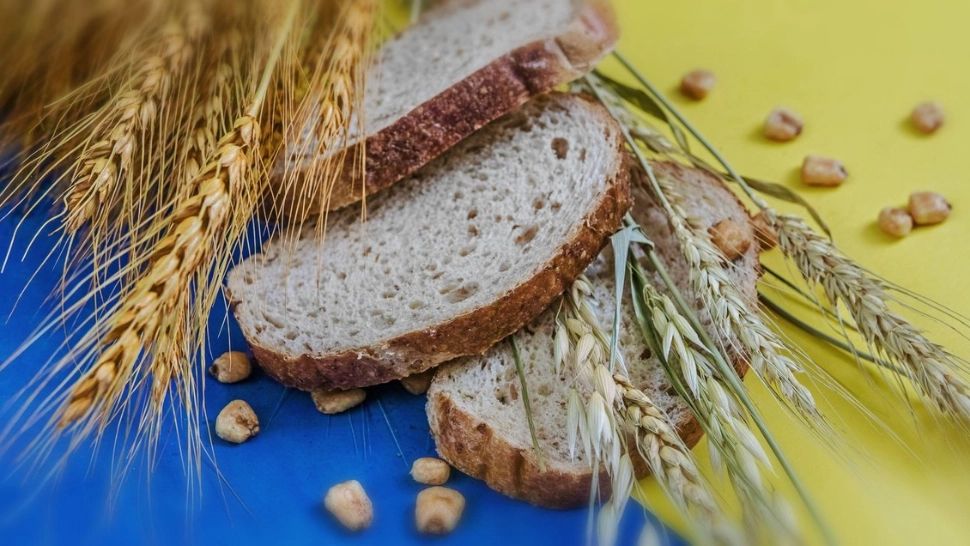 Popularii şi socialiştii europeni acuză: Țările est-europene care interzic importul de cereale ucrainene îl ajută pe Putin!