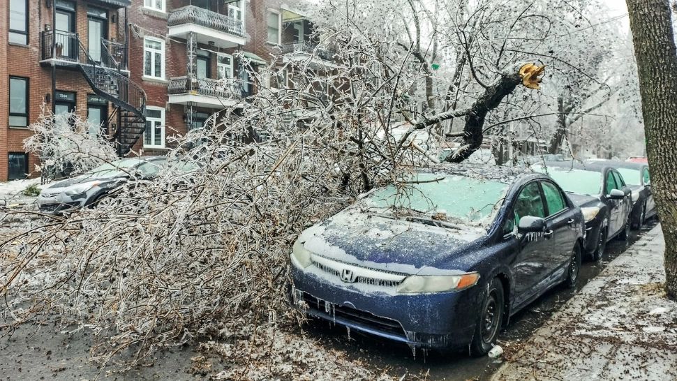Estul Canadei, PARALIZAT de o furtună de gheață. Două persoane și-au pierdut viața! Care sunt cele mai afectate orașe