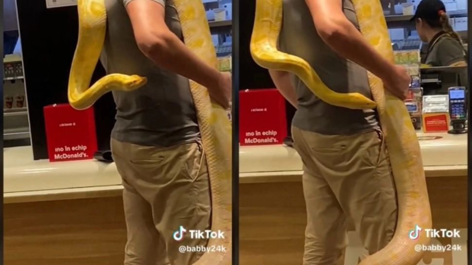 Imagini șocante la un McDonald's din România - Un client a venit cu șarpele de gât să-și comande mâncare