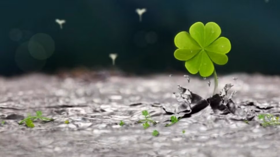 Cele 3 zodii care NU vor fi niciodată sărace - norocul le surâde din plin!