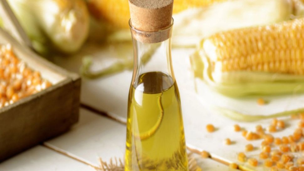 Uleiul de porumb. Sănătos sau periculos pentru organism?