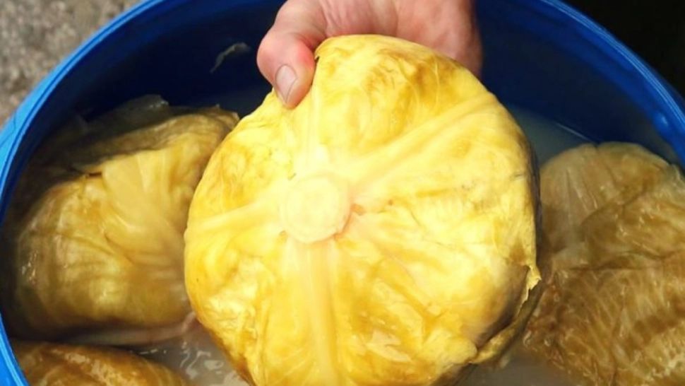 Cum arunci varza murată și zeama, fără să-ți înnebunești vecinii cu mirosul