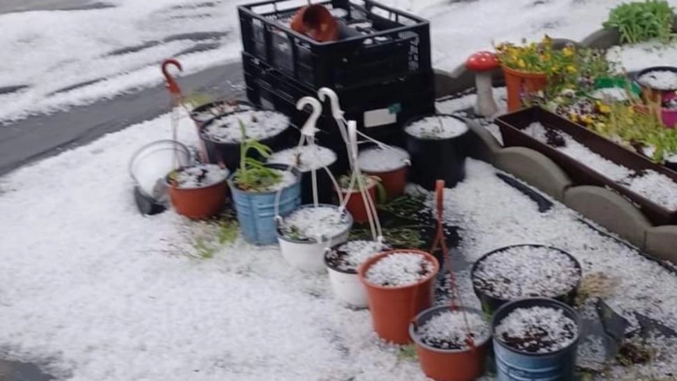 Vremea EXTREMĂ a făcut PRĂPĂD în țară. Culturile agricole, puse la pământ de GRINDINĂ - Care au fost cele mai AFECTATE zone - FOTO&VIDEO