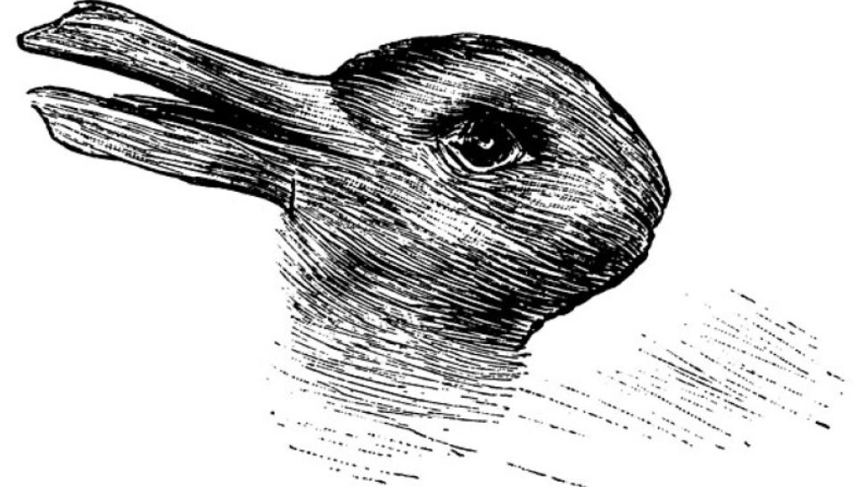 Celebra iluzie optică pe care numai anumiți oameni o văd întreagă - Știi ce reprezintă? Este veche de 100 de ani