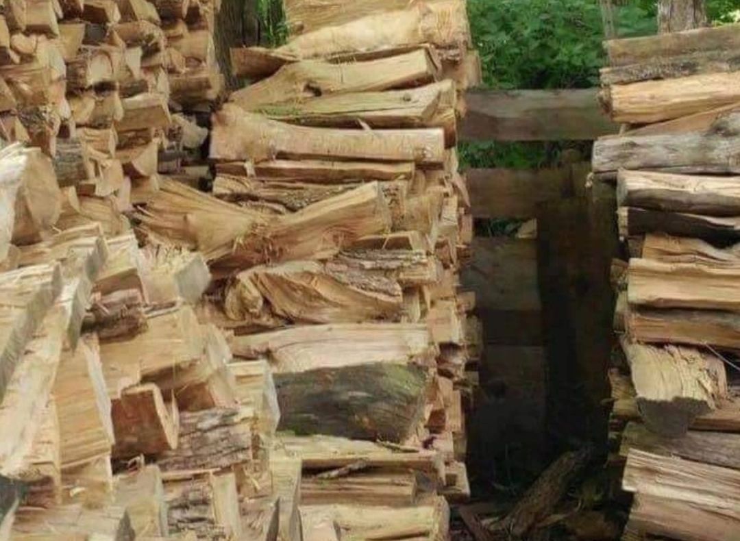 Lemnele de foc au ajuns să coste o AVERE! Cum se pregătesc românii pentru iarnă