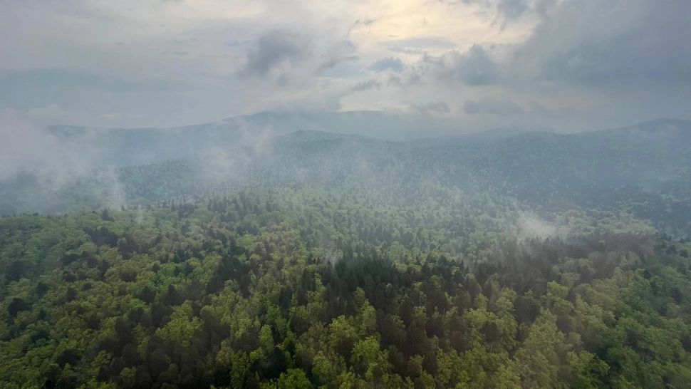 Accident Croația: Un avion s-a prăbușit într-o zonă muntoasă, după ce a dispărut de pe radar - Se caută supraviețuitori - FOTO