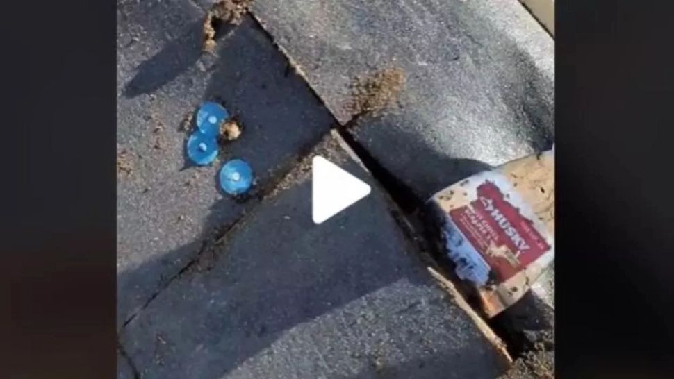 VIDEO – S-a urcat pe acoperiș pentru că nu mai suporta zgomotul ce venea din plafon – A tăiat placajul și a făcut o descoperire terifiantă