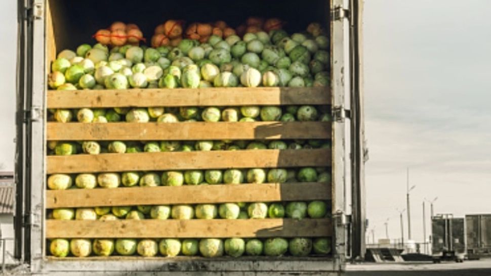 Descoperire fabuloasă în Giurgiu, într-un camion cu varză - polițiștii au rămas mască