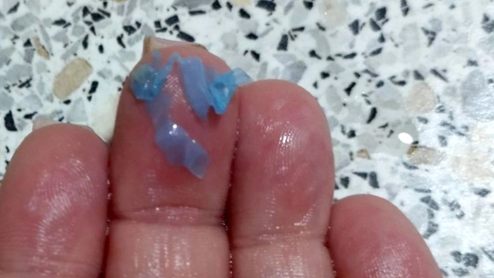 Ce a pățit o ieșeancă după ce a cumpărat o caserolă cu carne TOCATĂ din supermarket: „Mi-am dat seama abia când amestecam în tigaia care era pe foc”