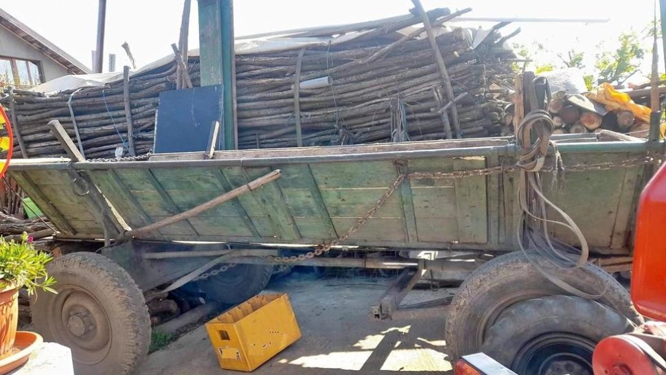 Bătrână omorâtă de o căruţă fără căruţaș. Conducătorul atelajului era mort de beat