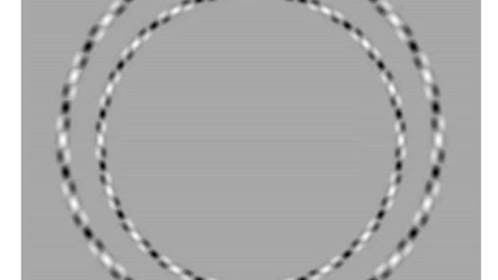 Iluzia care-și dă peste cap percepția. Câte cercuri vezi în imagine? 