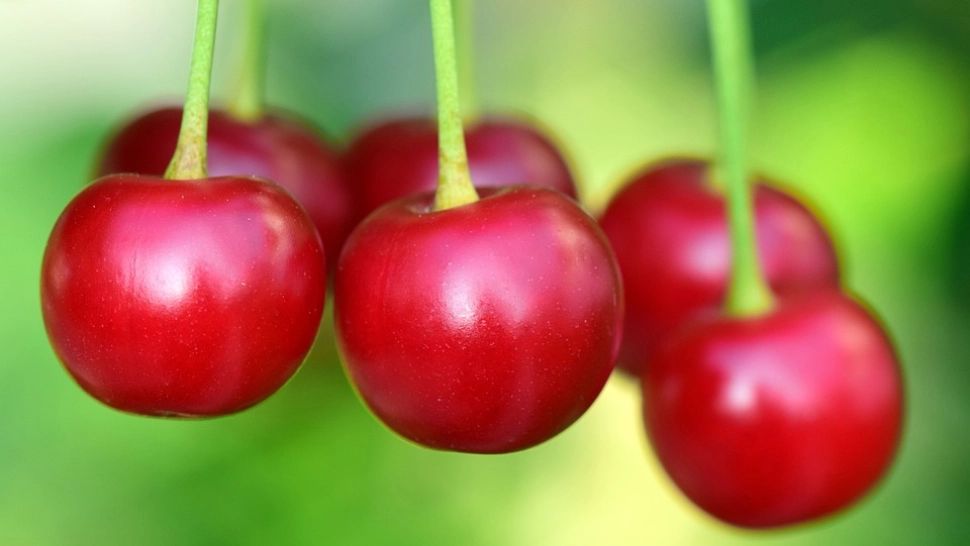 Situație halucinantă în piete: Cireșele au ajuns să se vândă...la bucată! VIDEO cu tranzacția infimă la tarabă