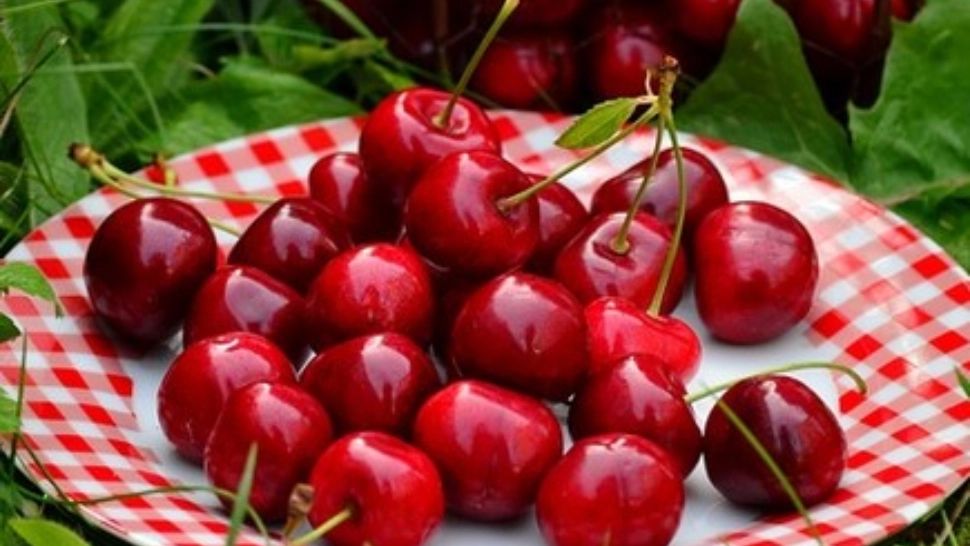 Ce se întâmplă în corpul tău dacă mănânci cireșe cu viermi