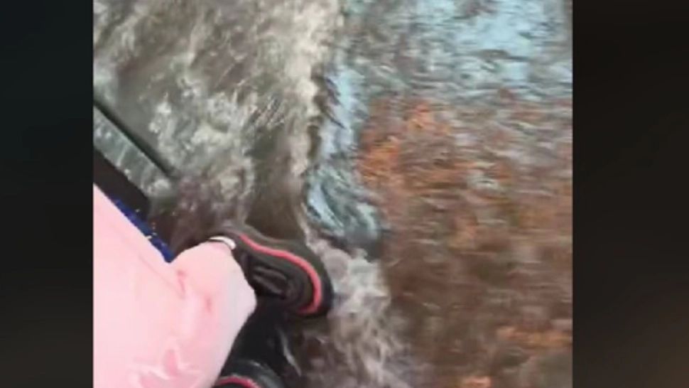 Scene de groază într-un autobuz plin cu pasageri, la Cluj-Napoca. Apa a năvălit peste călători - VIDEO