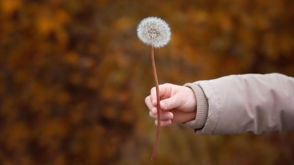 O fetiță de 10 ani, din București, și-a denunțat tatăl la Poliție pentru viol - ce pedeapsă a primit bărbatul 