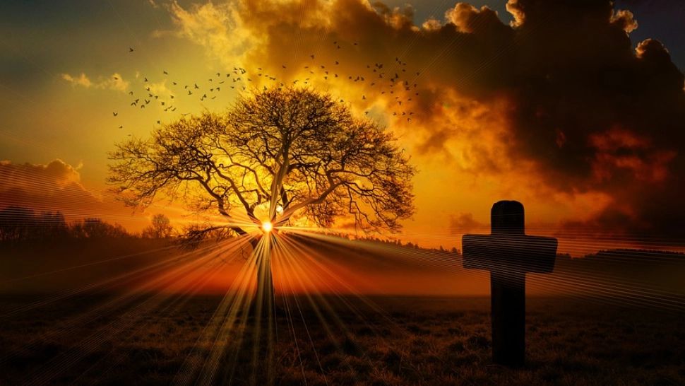 PASTILA PENTRU SUFLET - Pilda zilei de 21 mai: Magnetul iubirii