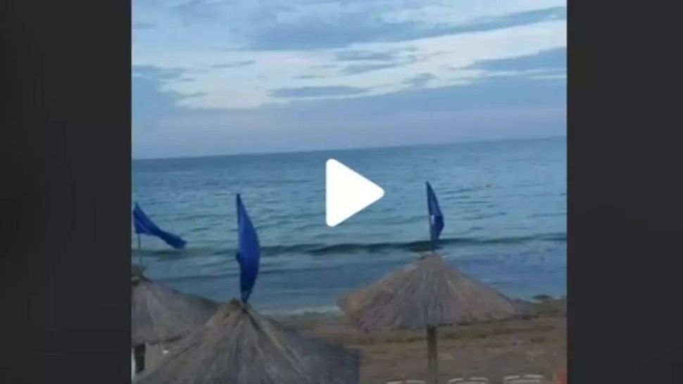 VIDEO – Ce a putut să găsească un turist la Eforie Sud, pe acoperișul unei umbrele de pe plajă