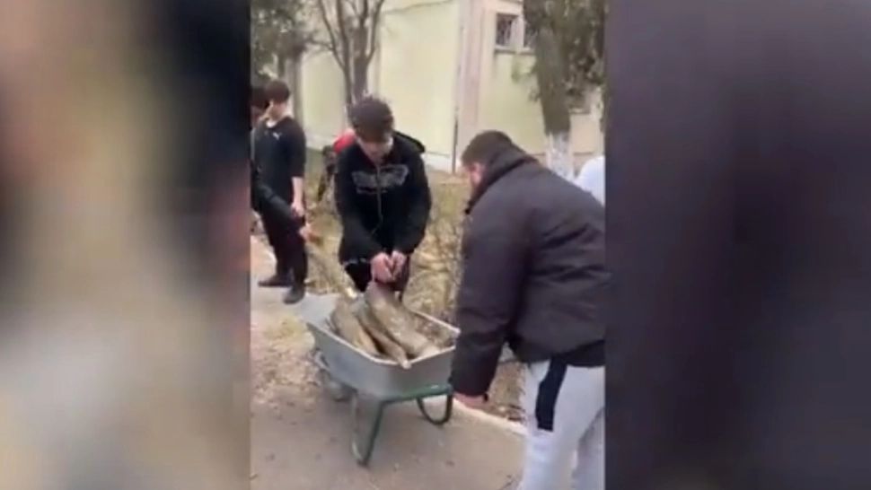 Imagini revoltătoare, desprinse parcă din comunism: Elevii unui liceu au fost puși la muncă înainte de o inspecție