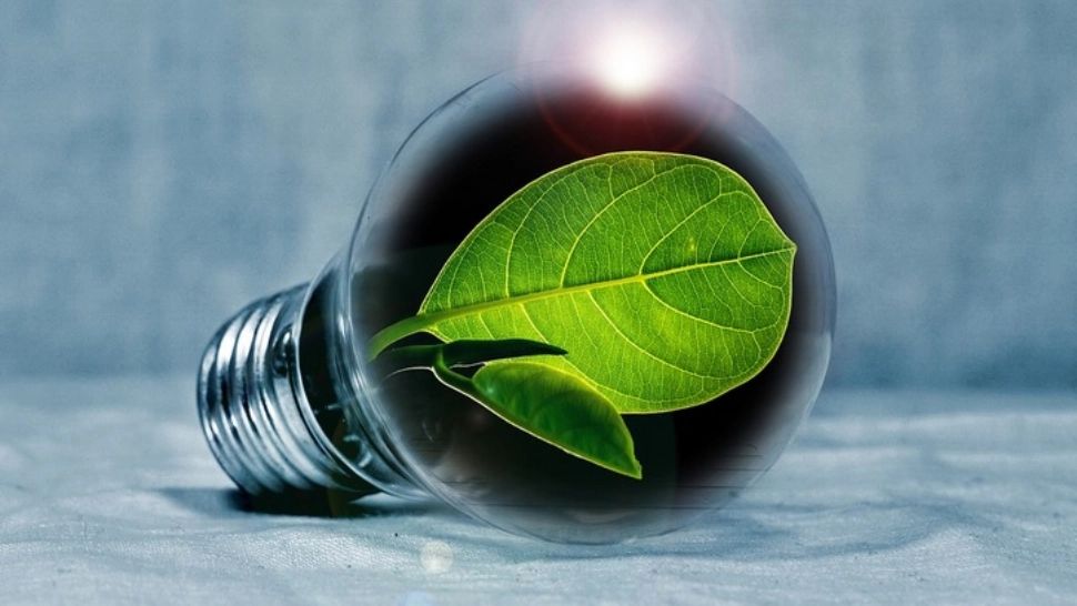 O echipă de tineri din Cluj a obţinut o finanţare de 200.000 euro pentru o aplicație mobilă inovatoare în domeniul energiei