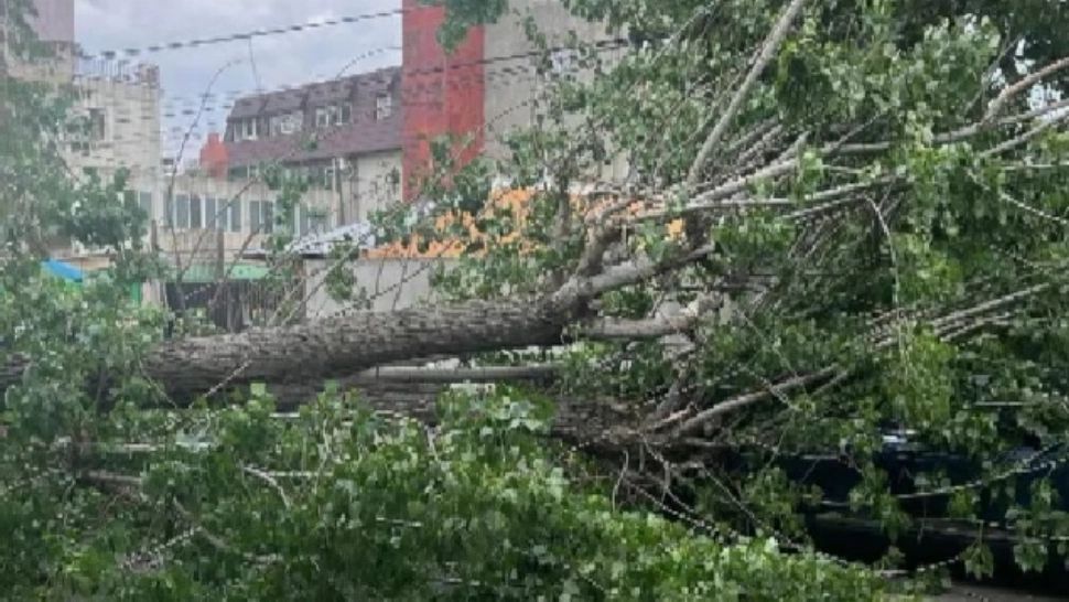 Ravagii după o nouă furtună în Capitală, sâmbătă seară: Mai multe mașini distruse în Sectorul 6 de copacii rupți - Intervin pompierii - FOTO