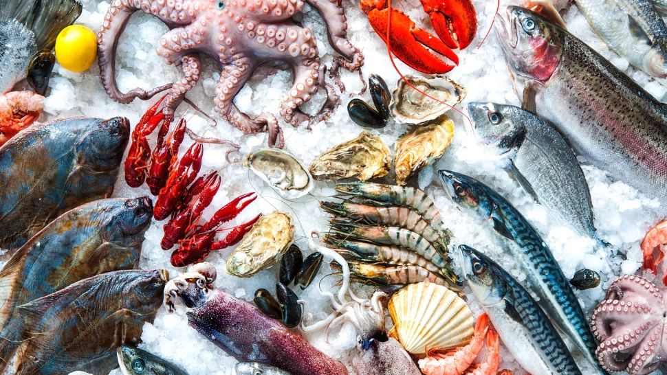 Ce tip de pește creşte prea mult glicemia şi riscul de diabet și boli de inimă - Care sunt peștii „sănătoși” și toxici