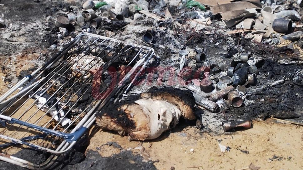 Proces colectiv împotriva platformei de gunoi Rom Waste a fostului primar general Adriean Videanu