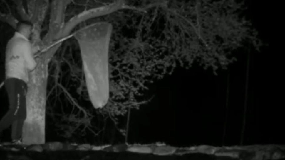 O familie terorizată de hoții care le furau peștii din păstrăvărie a montat camere de supraveghere - Hoții au furat și camerele 