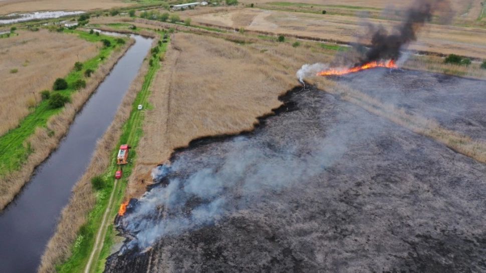 Incendiu devastator în Tulcea. Ard zeci de hectare de stuf, pompierii fac față cu greu -VIDEO