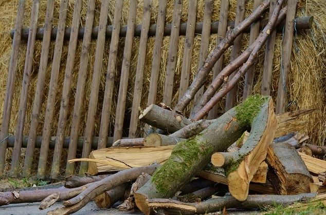 Amendă uriașă pentru un bărbat din Olt după ce a făcut ASTA în curte 