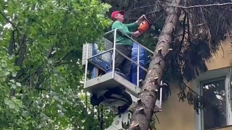 Panică totală în Pitești: Un brad a căzut peste un bloc - Intervenție dificilă a pompierilor - VIDEO