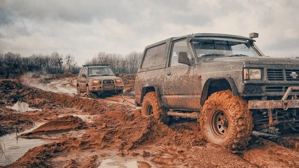 Austriecii care au devastat o arie protejată din Bihor sunt căutați prin Europol