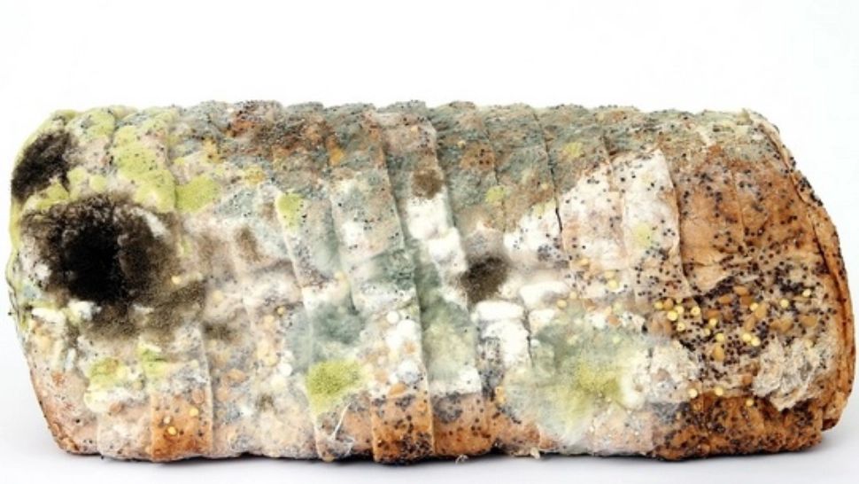 Ce se întâmplă în corpul tău dacă mănânci pâine cu mucegai - e mai grav decât crezi!