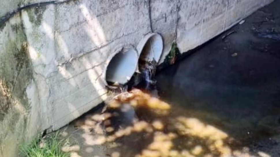 Poluare masivă în Băile Felix: Turiștii au alertat autoritățile - Ce a găsit Garda de Mediu - VIDEO