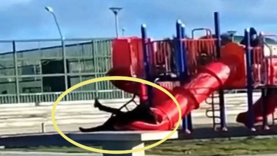 Președintele chilian a fost filmat când rămâne blocat într-un tobogan pentru copii